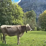 Daire Wieseli By Interhome Grindelwald