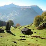 Wieseli By Interhome Daire