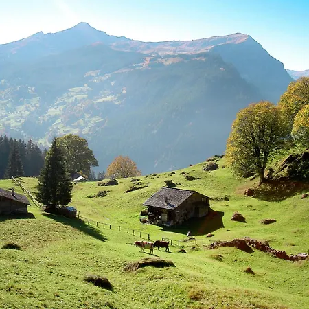 Wieseli By Interhome Daire