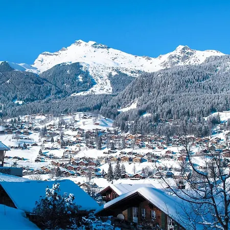 Wieseli By Interhome Appartement *