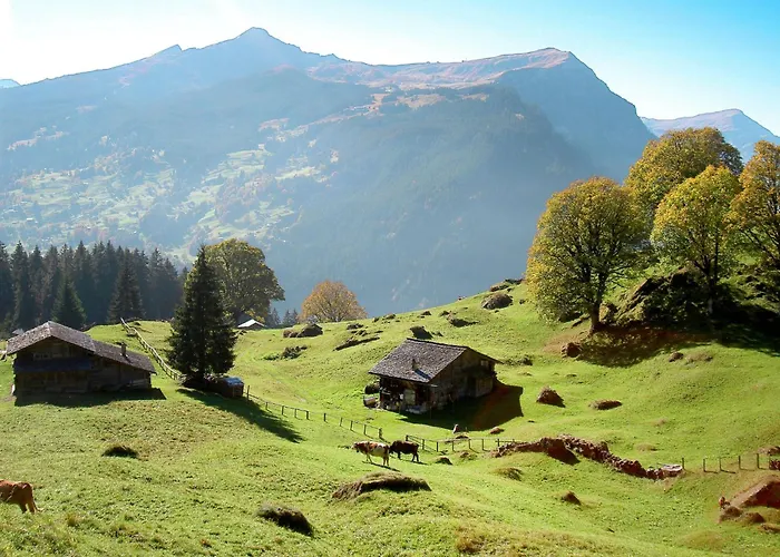 Wieseli By Interhome Lägenhet